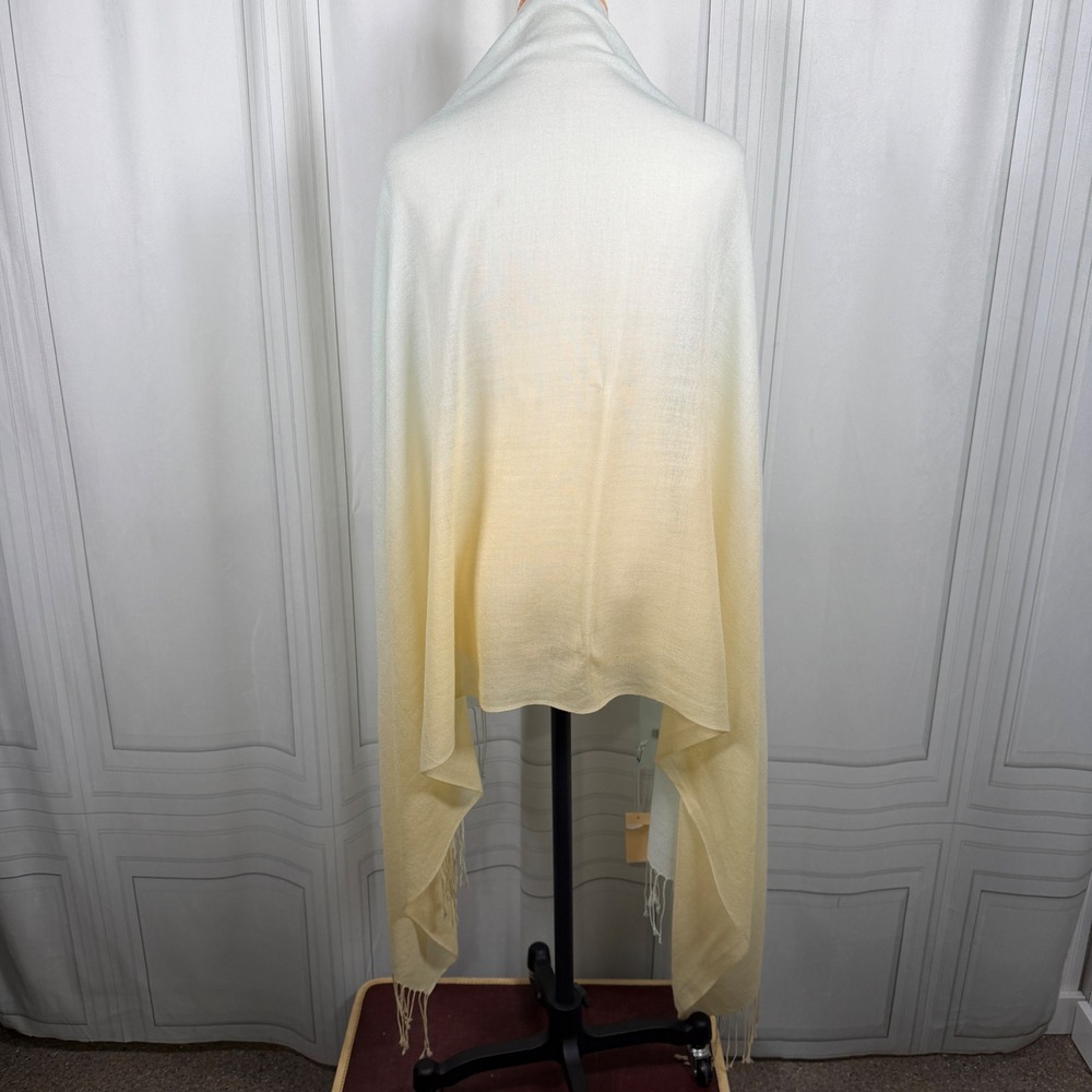 Riccini Collection Pastel Mint Ombre Pashmina Shawl Scarf Fringe Wide Wrap Long